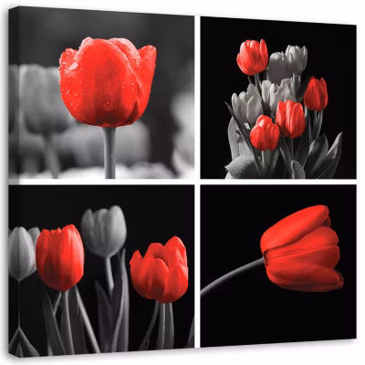 Tableau sur toile, Tulipes rouges Set 30×30 cm