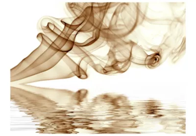 Papier peint intissé panoramique abstractions smoke curls 250×193 cm