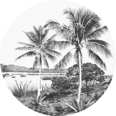ESTAhome papier peint panoramique rond adhésif paysage tropical avec des palmiers noir et blanc – d 70 cm – 158981