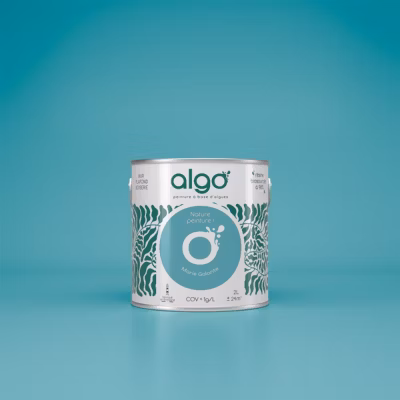 Peinture Algo – Bleu Marie-Galante – 0.5L – Mat