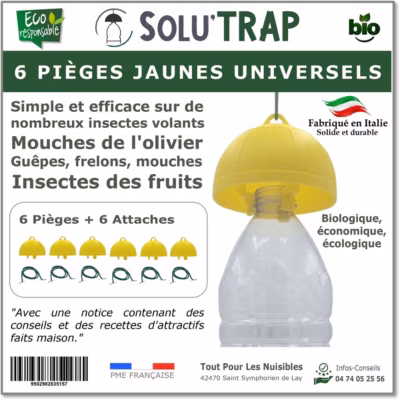 Solutrap – 6 pièges universels jaunes – économique – mouches – guêpes – frelons – mouche de l&rsquo;olivier