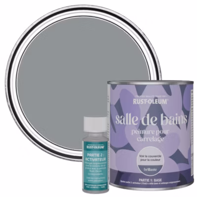 Peinture Grise pour carrelage de Salle de Bain, Brillante – RUST-OLEUM – Anthracite 750ml