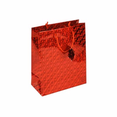 Sac cadeau laser petite taille – feeric lights & christmas
