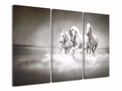 DECLINA, Tableau toile imprimée, animaux, Tableau toile décorative cheveau au galot, 120×80 cm
