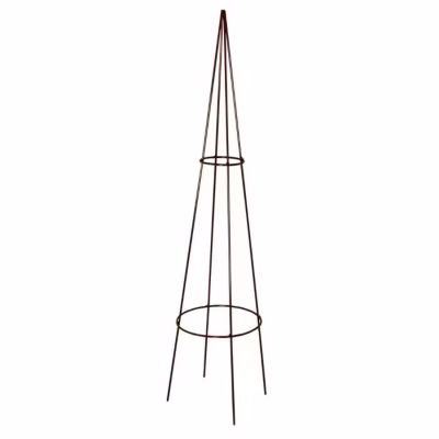 Tuteur Tipi Classique fer vieilli – LOUIS MOULIN – 20×100 cm – Acier époxy