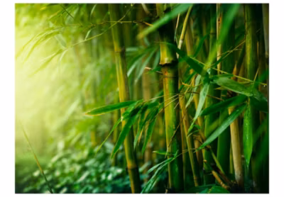 Papier peint intissé panoramique orient jungle – bambou 200×154 cm