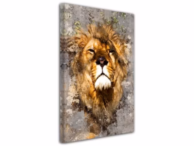 DECLINA, Tableau toile imprimée, animaux, Tableau deco design Roi de la jungle, 50×80 cm
