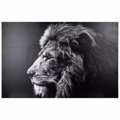 Toile imprimée Lion 78×118 cm – Atmosphera
