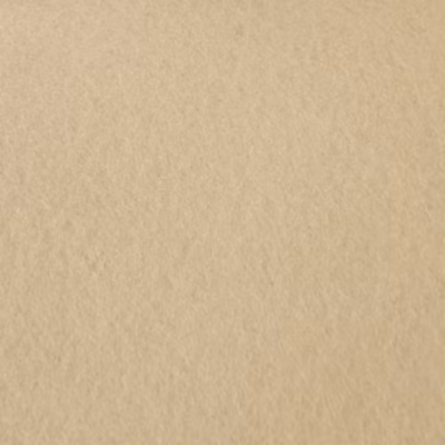 Moquette Stand Expo – Sable – Rouleau de 2m x 20m