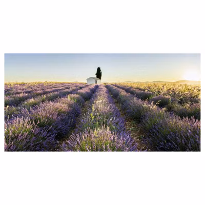 Brise vue imprimé paysage VALENSOLE, H.1.5 x L.3 m, 100% occultant, Made in France par Scenolia + kit de fixation offert