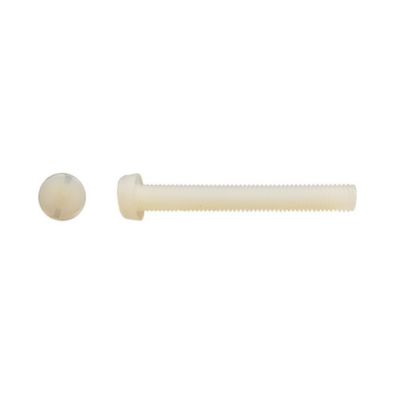 200 Vis Métaux Tête Cylindrique Fendue 6 x 16 mm – DIN 84 – Polyamide – D-Work