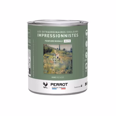 PEINTURE MURALE MATE KAKI  RENOIR 2L  – PERROT