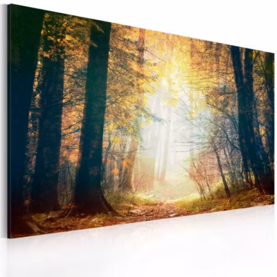 Tableau Beauté de l&rsquo;automne 60×40 cm