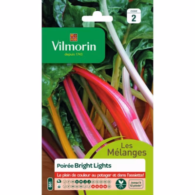 Sachet graines Poirée Bright lights – Beta vulgaris