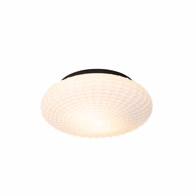 Plafonnier classique noir avec verre opale 35 cm IP44 – Nohmi