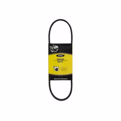 Courroie trapézoïdale lisse Z30 3/4 – 10X781 MM