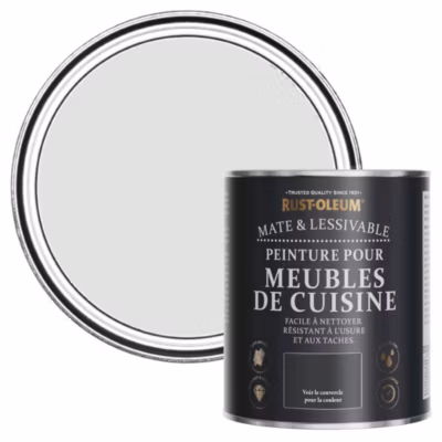 Peinture Grise pour Meubles de Cuisine, Mat – RUST-OLEUM – Gris Papier 750ml