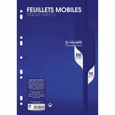Feuilles simples – A4 – Grands carreaux – Perforées – 100 feuilles – Clairefontaine