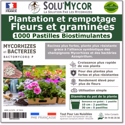 SoluMycor 1000 Pastilles Biostimulantes Fleurs et graminees Semis Plantation Developpement racinaire