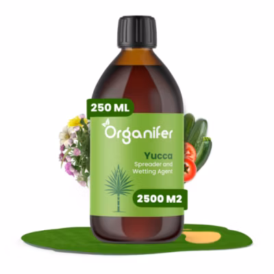 Yucca – Agent Mouillant – 250 ml pour 2500 m2 – Organifer