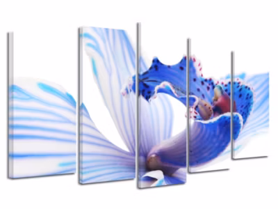 DECLINA, Tableau toile imprimée Zen, Tableau déco fleurs d&rsquo;orchidée Bleu, 220×120 cm