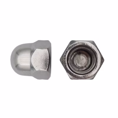 50 Ecrous Borgnes M16 mm – DIN 1587 – Inox A4 – D-Work