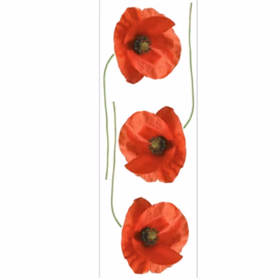 Sticker décoratif, photo de 3 fleurs coquelicots rouges, 68 cm X 24 cm