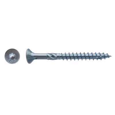 100 Vis pour Construction Bois Tête Fraisante Torx T30 6 x 300 mm – Zingué blanc – D-Work