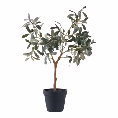 Plante Artificielle Olivier, Vert, Plastique PE, 22,5×36,5×61 cm, Seven Design