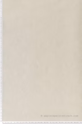 Papier peint vinyle sur intissé Uni L.10.05 x l.0.53 m.  – Réf. MC-36733