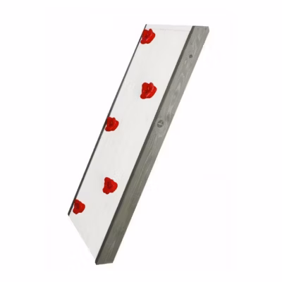 AXI Mur d&rsquo;escalade pour Beach Towers